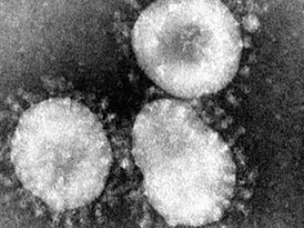 Phát hiện ca nhiễm dịch bệnh COVID-19 đầu tiên tại châu Phi