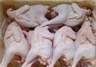 Lại phát hiện thịt gà nhiễm kháng sinh và chất cấm