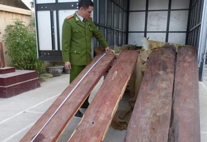Lại bắt gỗ lậu tiền tỷ tại sân bay Nội Bài