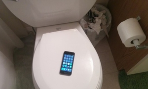 Smartphone chứa vi khuẩn gấp 20 lần bệ toilet