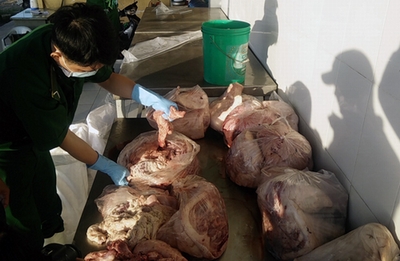 TP. Hồ Chí Minh phát hiện gần trăm mẫu heo nhiễm chất cấm