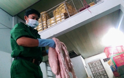 Hơn 2 tấn thịt lợn bẩn nghi từ Trung Quốc tuồn vào TP.HCM