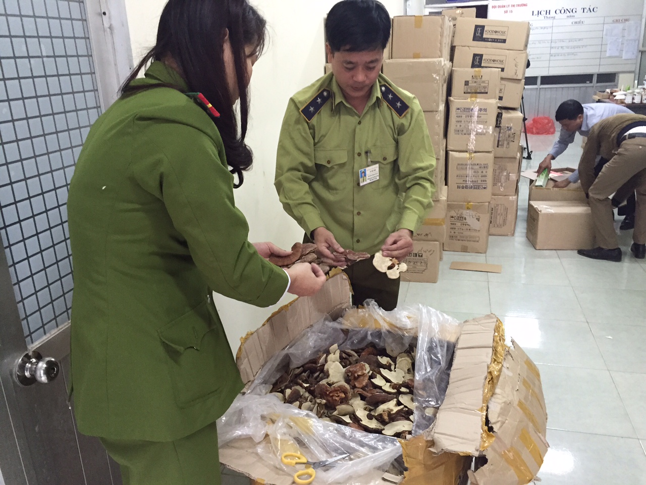 Hàng chục tạ nấm linh chi không rõ nguồn gốc nhập lậu vào Việt Nam