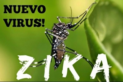 Khẩn cấp ngăn chặn virus Zika xâm nhập vào Việt Nam