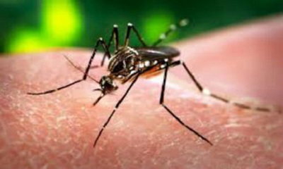 Trung Quốc phát hiện trường hợp đầu tiên nhiễm virus Zika