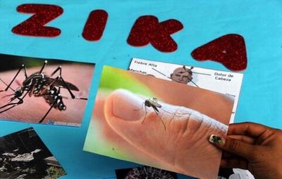 Muỗi biến đổi chống Zika sắp được thả thử nghiệm ở Việt Nam