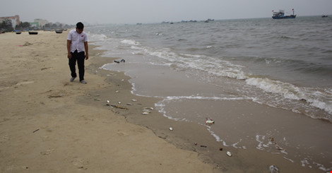 Cá chết lại trôi dạt vào bờ biển Đà Nẵng
