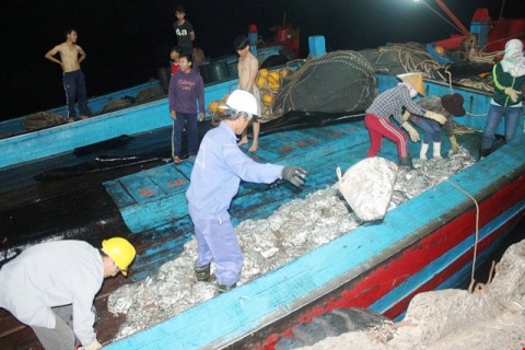 Hỗ trợ hàng chục tỷ đồng cho các tàu cá ở Quảng Bình
