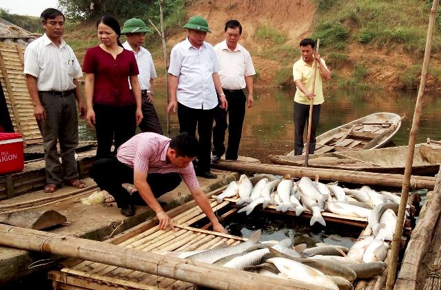 Lãnh đạo tỉnh Thanh Hóa kiểm tra các bè nuôi cá trên sông Bưởi
