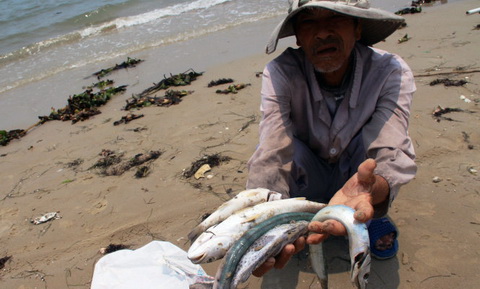 Vụ cá chết: Đẩy mạnh quan trắc nước biển miền Trung