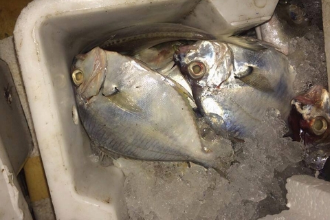 Hàng tấn cá thối suýt được 'tuồn' vào Thủ đô