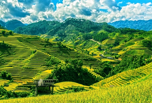 Việt Nam là đất nước tuyệt nhất để đi du lịch một mình