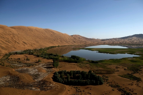 Ốc đảo nằm trong lòng sa mạc Gobi, Mông Cổ. (Nguồn: AFP)