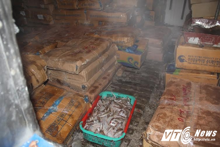 Thông tin rúng động về 8 tấn cá biển tồn kho ở Hà Tĩnh