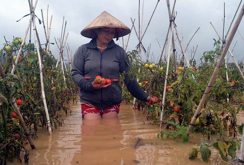 9 người chết do mưa lũ ở Nam Trung Bộ, Tây Nguyên