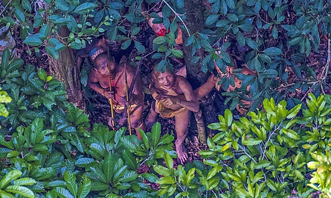 “Khi không gian sống bị những người khai thác gỗ hoặc đào vàng lấn chiếm hết, số phận của bộ lạc sẽ kết thúc. Họ có thể biến mất hoàn toàn khỏi trái đất mà chúng ta chẳng hề hay biết gì”, ông Meirelles cảnh báo. Nhiều bộ lạc thiểu số tại rừng rậm nhiệt đới Amazon từng bị tuyệt diệt chính vì những lý do tương tự.