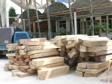 Viện kiểm sát chỉ đạo xử lý vụ nghi dùng xe công chở gỗ lậu Tuyên Quang
