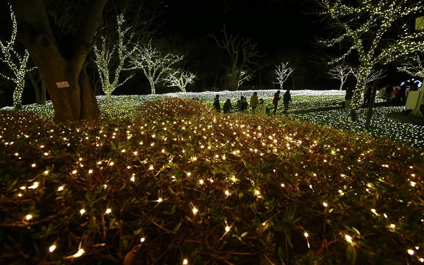  Công viên ở Nhật Bản ngập trong ánh sáng lung linh