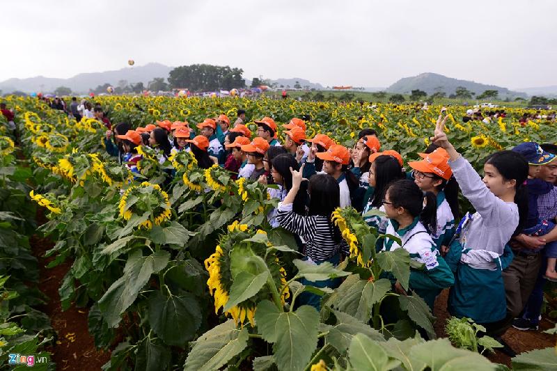 Một nhóm học sinh tại TP Vinh (Nghệ An) chụp ảnh tại lối đi gần khu vực vào cánh đồng hoa khiến nhiều người đi qua rất chậm.
