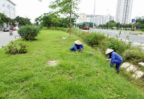 Ấn định số lần cắt cỏ, tưới cây: Triệt tiêu cải tiến công nghệ?