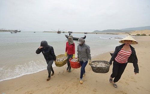 Bộ Tài nguyên yêu cầu 4 tỉnh miền Trung duy trì quan trắc môi trường biển