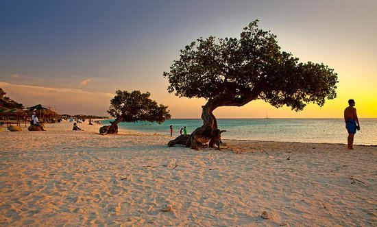 Bãi cát trắng và và nước biển xanh đang chờ du khách trên bãi biển Eagle Beach ở Aruba, Caribbe. Đây là bãi biển được Tripadvisor đánh giá đứng thứ 3 trong danh sách những bãi biển hấp dẫn nhất thế giới năm 2017. Theo chia sẻ của du khách từng đến đây, “bãi biển tươi đẹp nhất của Aruba. Riêng tư, thanh bình, tĩnh lặng và tuyệt vời!” Và bạn có thể đến đây quanh năm để thưởng thức vẻ đẹp cũng như sự hấp dẫn tuyệt vời của nó.
