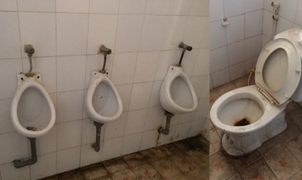 nhà vệ sinh trường học