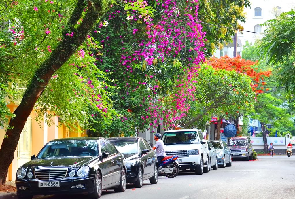 Hà Nội chính thức quy định đỗ xe theo ngày chẵn, lẻ trên phố Nguyễn Gia Thiều