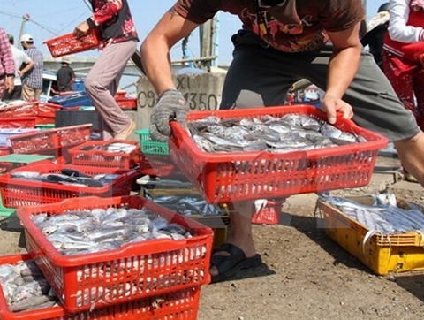 Bắt nhóm đối tượng ép người thu mua hải sản 'nộp' tiền