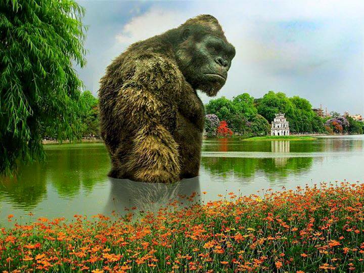  Ẩn ý trong những bức ảnh chế hài hước là mô hình Kong không phù hợp với cảnh quan Hồ Gươm?