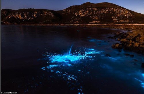 Nước biển phát sáng xanh lè bí ẩn ở Australia