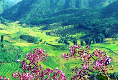 'Hút hồn' với 7 thung lũng đẹp như tranh ở Việt Nam