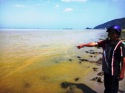Kiểm tra vệt nước màu vàng xuất hiện dọc bờ biển ở Thừa Thiên - Huế