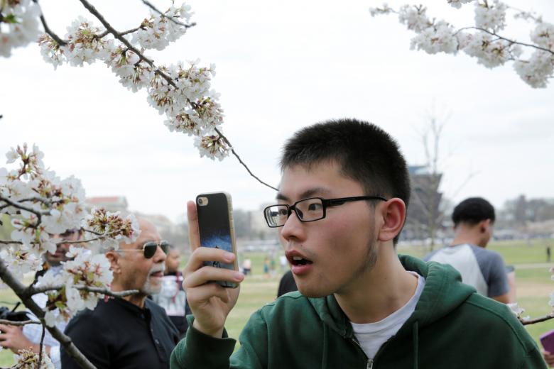 Người thanh niên đang chụp hình những bông hoa anh đào nở ở Washington Monument. REUTERS / Yuri Gripas