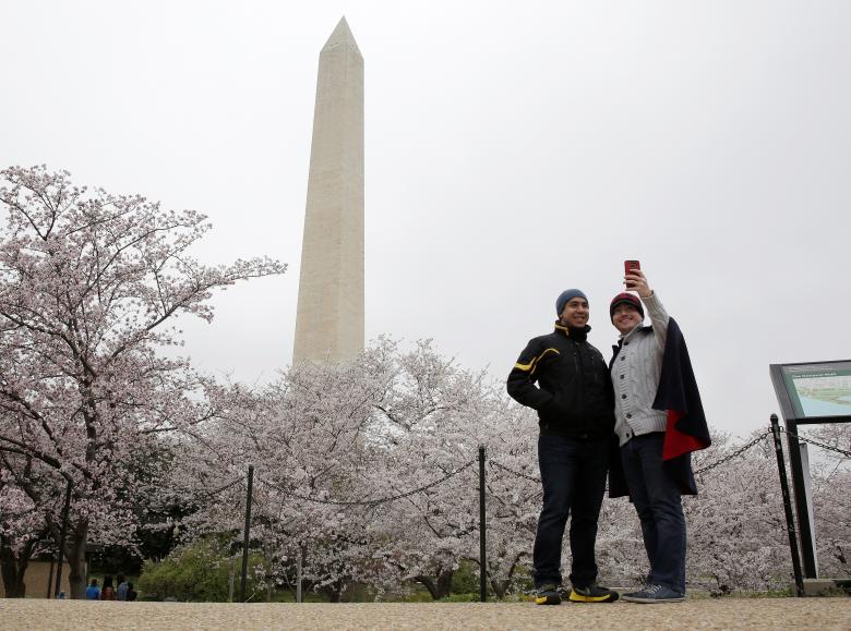 Người dân chụp ảnh bên hoa đào và tượng đài washington