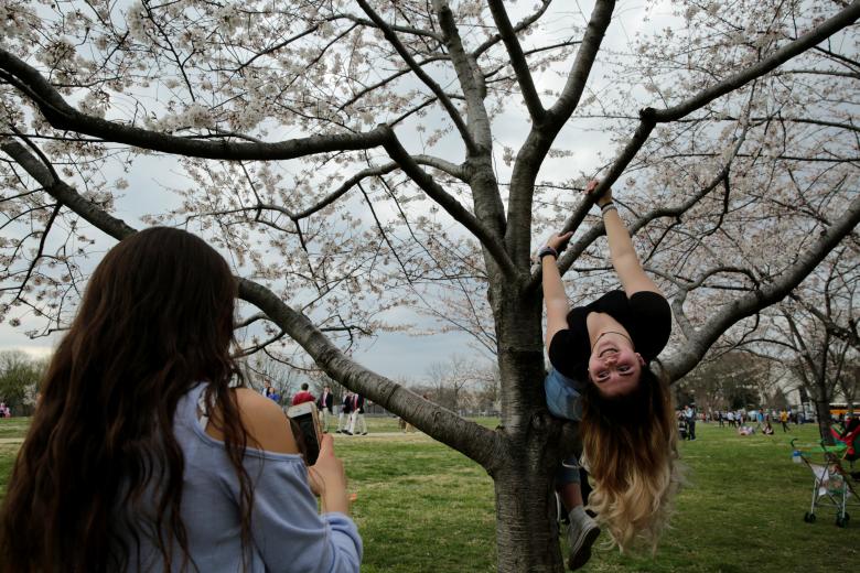 Cô gái đùa nghịch chụp hình với hoa đào