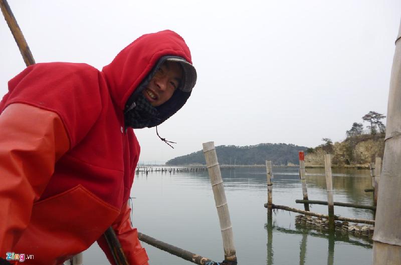 Trại nuôi hàu ở Matsushima. Ông Abe, một người nuôi hàu cho biết trại đang hợp tác với thị trường Việt Nam. 