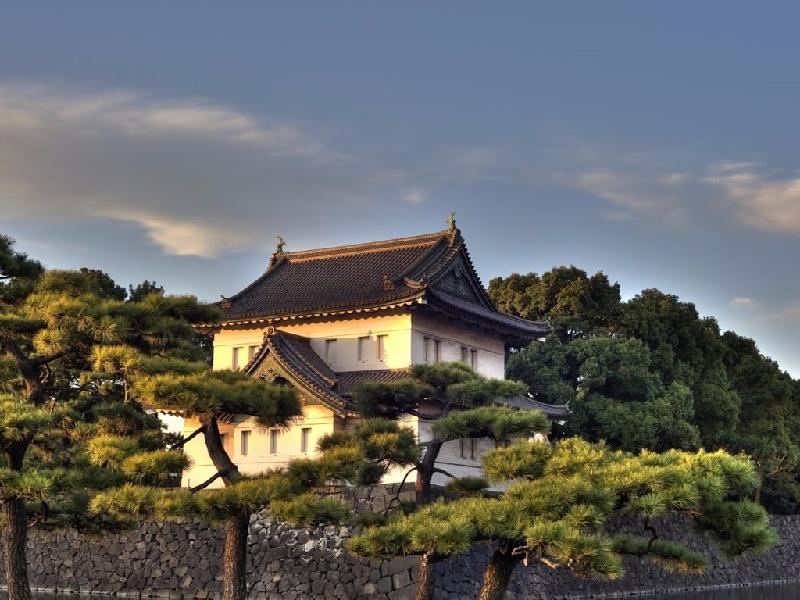 Cung điện hoàng gia Nhật Bản nằm giữa Tokyo, trong một công viên rộng lớn, bao quanh là hào nước và tường đá. Đây là nơi ở của Nhật hoàng Akihito và gia đình.