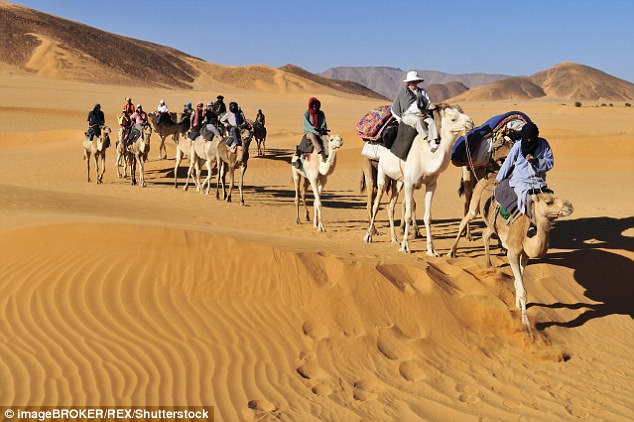 Ai là thủ phạm biến Sahara thành sa mạc?
