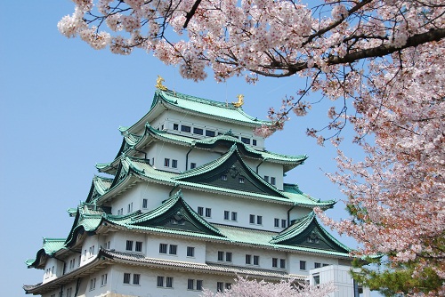 1. Lâu đài Nagoya: Được chọn là một trong 100 di tích lịch sử có ý nghĩa đặc biệt với quốc gia, nơi đây chính là biểu tượng của thành phố Nagoya. Không chỉ là 1 trong những lâu đài có kiến trúc đẹp nhất Xứ Phù Tang, lâu đài Nagoya vào mùa xuân còn là điểm ngắm hoa anh đào rất nổi tiếng với vườn cây hoa anh đào lên đến 1,000 cây. Cứ độ cuối tháng 3 – đầu tháng 4, cả tòa lâu đài chìm trong biển hoa, sắc hồng tươi thắm tương phản với tượng cá kình bằng vàng ngự trên mái ngói xanh đặc trưng của tòa lâu đài tạo nên một khung cảnh tuyệt đẹp, sẽ để ấn tượng khó phai trong lòng du khách. Ngoài ra, ở lâu đài Nagoya còn tổ chức rất nhiều các sự kiện, lễ hội trong mùa hoa anh đào như Lễ hội mùa xuân (từ 25/3 đến 7/5/2017), Lễ hội hoa anh đào (từ 25/3 đến 9/4/2017), Tuần lễ vàng (từ 29/4 đến 7/5/2017) Phí vào cửa: 500 yen (tương đương hơn 100 nghìn đồng)