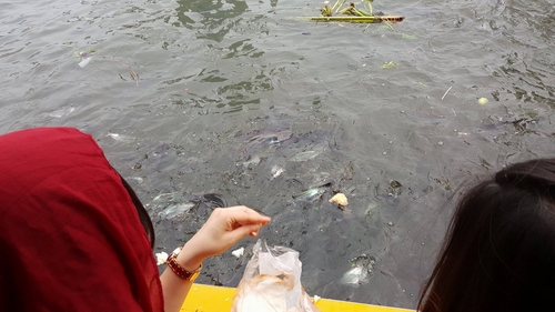 Theo giới thiệu của các hướng dẫn viên người Thái Lan, khi thả bánh mỳ xuống cho cá ăn, du khách cũng có thể thả theo dòng nước những điều buồn bực trong cuộc sống để có cảm giác nhẹ nhàng, thư thái.