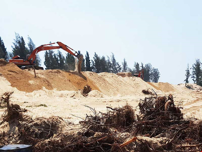 Dù chưa chuyển mục đích sử dụng nhưng rừng phòng hộ ven biển xã An Phú, TP Tuy Hòa (Phú Yên) bị ồ ạt chặt phá, san ủi. Ảnh: TẤN LỘC