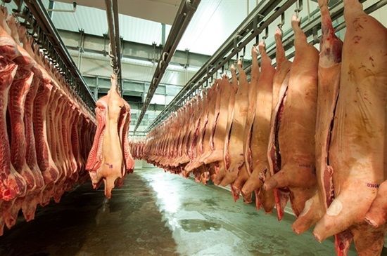 Thủ tướng yêu cầu các biện pháp &quot;rắn&quot; với nhập khẩu thịt lợn