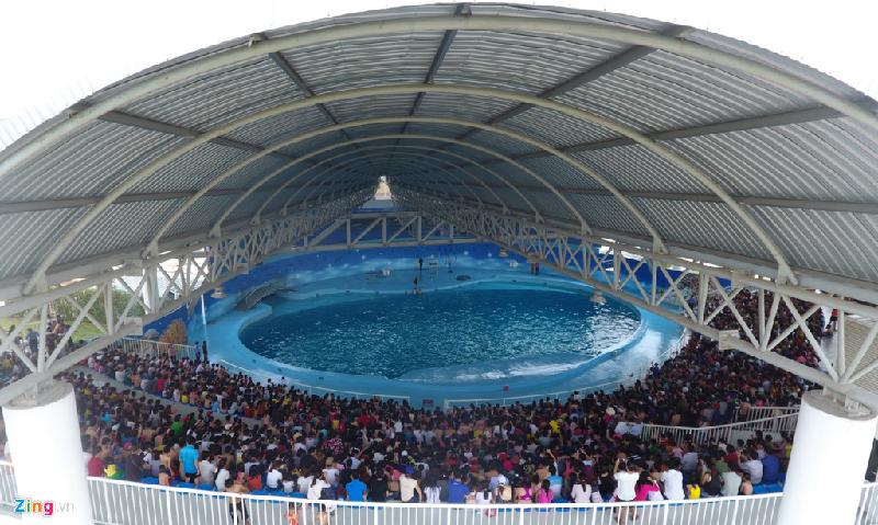 Bên trong khu du lịch quốc tế Tuần Châu, khán giả chật kín ở khu biểu diễn cá heo, hải cẩu.