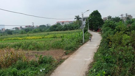 Hà Nội: Tạm dừng dự án nghĩa trang tại khu dân cư