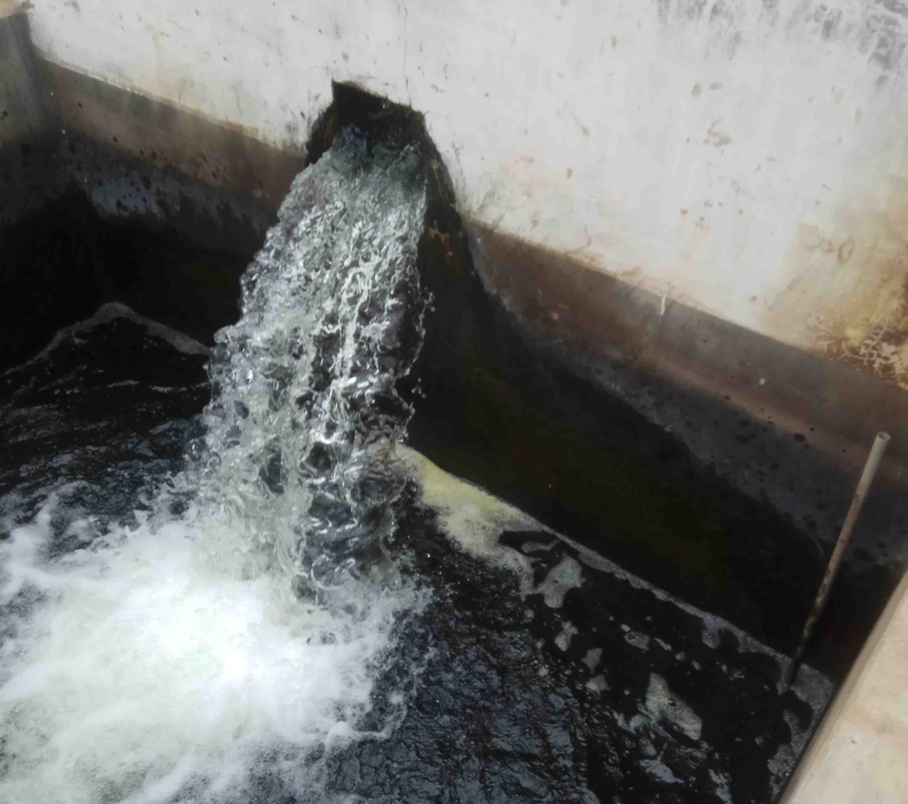 Bể đựng nước tại nhà máy xí nghiệp nước Thái Bình rêu mọc xanh đá lọc chuyển màu đen