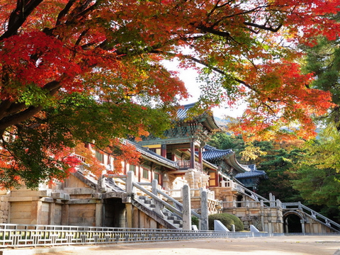 20 điểm du lịch hấp dẫn ở Hàn Quốc