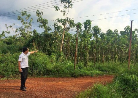 Một khu đất tại xã Trường Xuân (Đắk Song) cấp cho ông Nguyễn Thanh Sơn sai quy định.