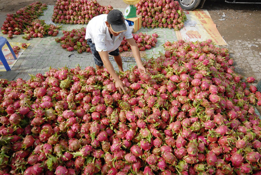 Kéo dài thời gian thông quan nông sản tại cửa khẩu Lào Cai đến 22h