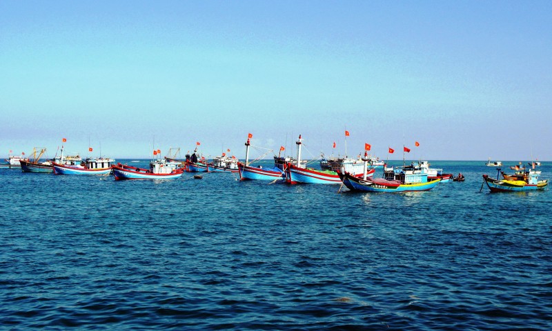 Một loạt tàu cá Việt Nam bị bắt giữ giữa biển